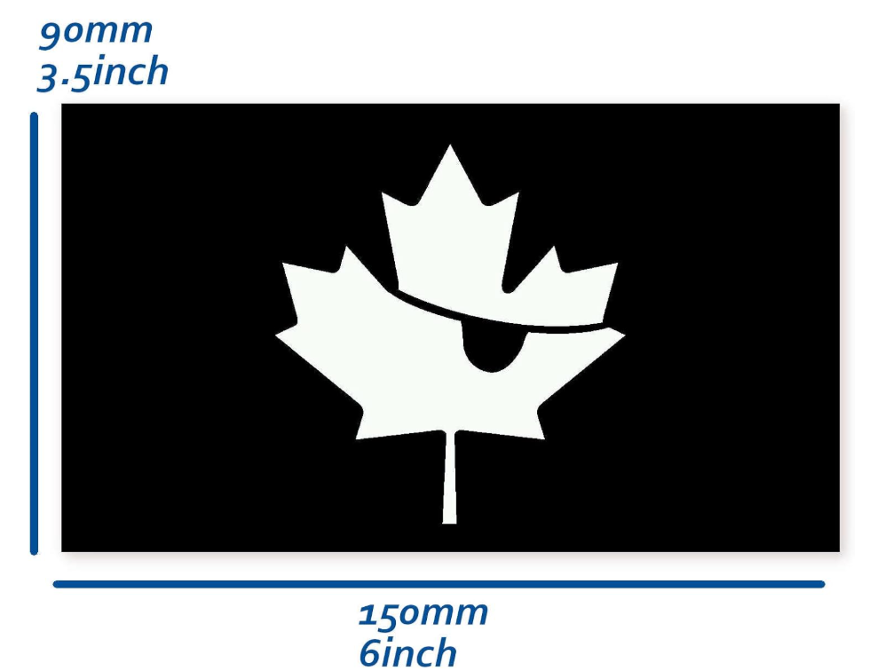 Jolly Roger Vinyl Decal