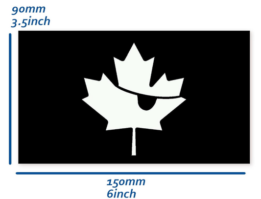 Jolly Roger Vinyl Decal