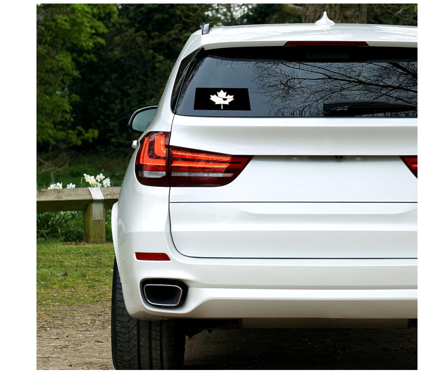 Jolly Roger Vinyl Decal